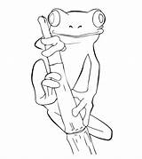 Frog Coloring Pages Tree Frogs Cute Drawings Print Printable Coqui Drawing Animals Outline Kids Animal Worksheets Sheets Pencil Color Dibujos sketch template