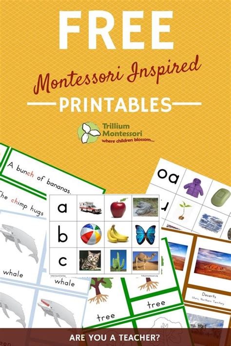 montessori printables   printables  pinterest