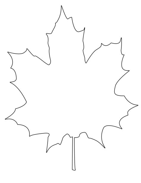 maple leaf outline printable printable templates