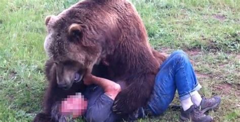 man will pay 100 000 to have sex with grizzly bear