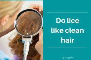 lice  clean hair tipking