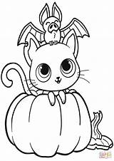 Halloween Coloring Pages Cat Pumpkin Bat Printable Print Pumpkins Bats Drawing Supercoloring sketch template