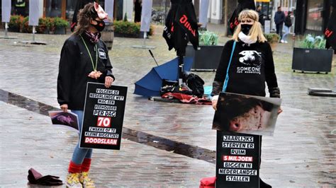 direct action  voert actie  veghel tegen dierenleed meierijstad