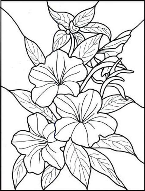 coloring pages spring flower coloring pages lovely  spring flowers coloring page collection