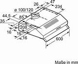  sketch template