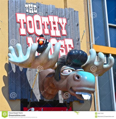 toothy moose halifax closing