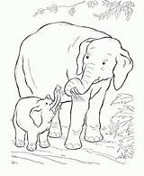 Coloring Elephant African Pages Printable Print sketch template
