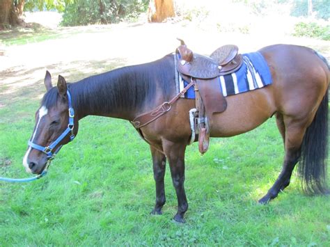 country hitching post  tacked