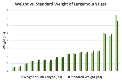 Largemouth Bass Growth Rate How Fast Should They Grow