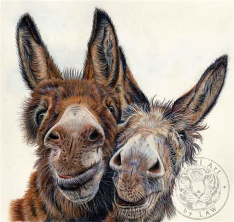 donkey art animal paintings animal drawings donkey drawing