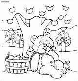 Picnic Orso Orsi Bojanke Crtež Medvjedi Deset Printanje Getdrawings Djecu Medvjeda Bezoeken Kleurplaat Crtezi Coloratutto Bojanje sketch template