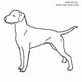 Dalmatian Dog Coloring Fire Pages Color Drawing Own Getdrawings Printable Dogs Police Pokemon Type Patterns Getcolorings Dalmatians Drawings Use Pattern sketch template