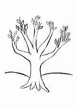 Coloring Pages Trees Leaves Popular sketch template
