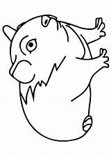 Meerschweinchen Ausmalbilder Guinea Fowl Malvorlagen Ausmalbild sketch template