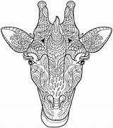 Coloring Pages Animals Animal Adult Adults Printable Giraffe Mandala Advanced Color Head Colouring Books Sheets Henna Book Sheet Getcolorings Printables sketch template