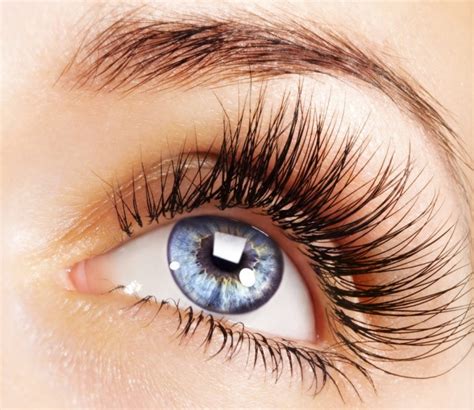 eyes brows and lashes pure beauty spa
