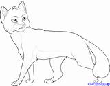 Warrior Coloring Cat Pages Cats Warriors Template Print Kit Color Popular Coloringtop sketch template