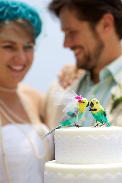 parrot wedding cake topper tropical bride groom  aqua  yellow anniversary