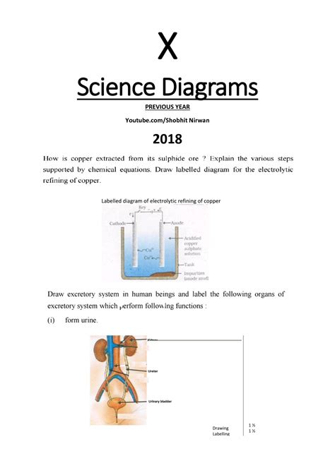 solution class  science important diagrams studypool