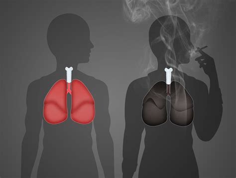 herstel van de longen medipro stoppen met roken coaching