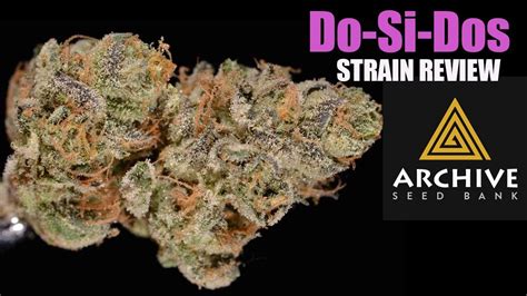 dosidos weed strain review youtube