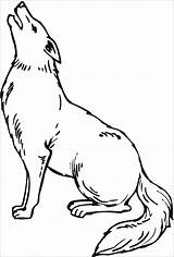 Coyote Howling Coloringbay sketch template
