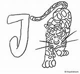Jaguar Coloring Coloringcrew sketch template