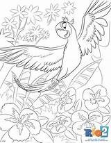 Rio Jewel Perle Rio2 Aras Printables Colorier Draw Wikia sketch template