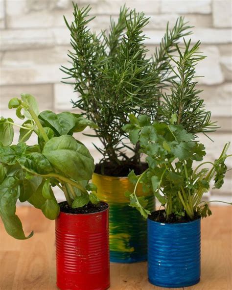 grow   herbs  home   life hack hydroponic gardening