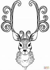 Reindeer Coloring Christmas Pages Drawing Deer Animal Printable Antlers Braid Raindeer Colorings Vector Silhouette sketch template