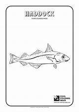 Coloring Pages Haddock Cool Fishes Print sketch template
