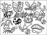 Insectes Insects Insetti Farfalle Insectos Mariposas Insect Insekten Divers Schmetterlinge Butterflies Adulti Insecte Malbuch Erwachsene Adultos Papillons Justcolor Papillon Fiori sketch template