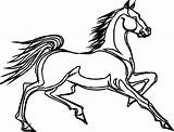 Cavalli Caballos Caballo Chevaux Cheval Cavallo 2265 Paard Konji Draf Bonbons Konja Crtež Caliethancuisine Licorne Pedeset Bojanke Crtezi Riscos Cavalos sketch template