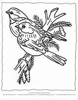 Coloring Winter Pages Printable Bird Christmas Color Birds Kids Adult Wildlife Sheets Activities Clipart Book Print Stencil Sheet Colouring Resources sketch template