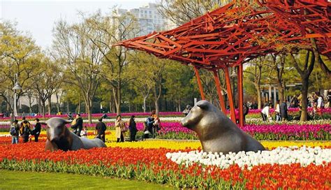 Spring Has Arrived But It Took Its Time Shanghai Daily