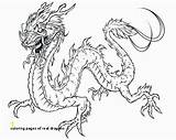 Hideous Zippleback Dragons sketch template
