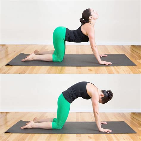easy yoga poses  beginners ohmeohmy blog