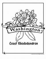 State Washington Coloring Flower Pages Color Printable Print Getcolorings Rhododendron Popular Coast Activities sketch template