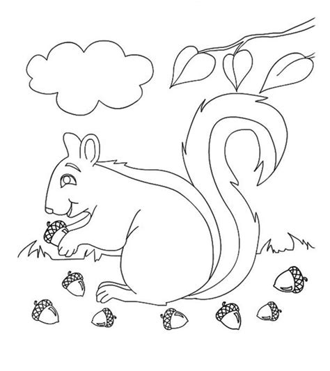 top   printable fall coloring pages