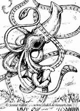 Squid Riesenkalmar Calamar Kalmar Gigante Tiefsee Pulpos Kraken Geheimnisvolle Octopus Koloss Malvorlagen sketch template
