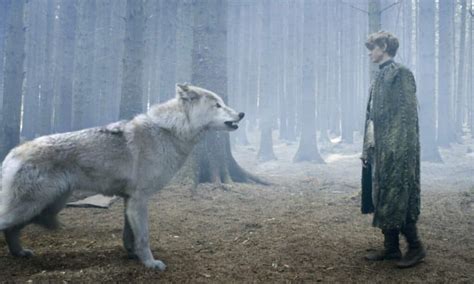 largest wolf    legendary dire wolf      wolf  science geek impulse