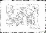 Rainforest Coloring Pages Layers Amazon Plants Drawing Tree Printable Animals Getcolorings Getdrawings Print Template sketch template