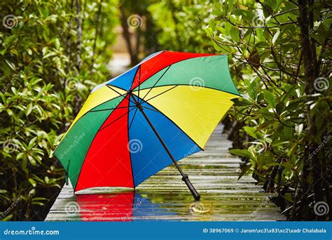 umbrella  rain stock photo image