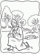 Coloring Praying Gethsemane Prays Misterios Tempted Colorear Dolorosos Crucificado Azotado Addition Rosario Oraciones Physics Solve Tutor Coloringhome Clipground sketch template
