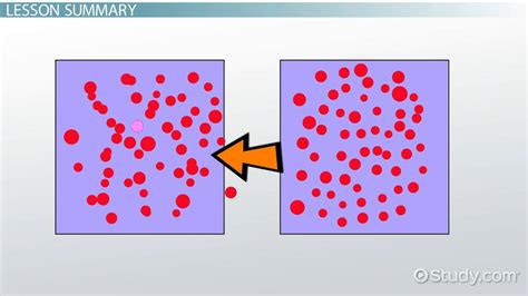 diffusion overview definition lesson studycom