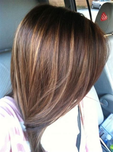 image result  straight dark brown hair  highlights shoulder