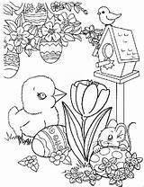 Easter Coloring Chooks Book Print Color sketch template