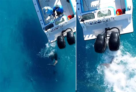 florida fisherman drone footage  shark attack