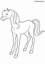 Horseland Coloring Pages Bestofcoloring Library Cartoons Clipart Books Alma sketch template