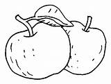 Manzanas Colorat Pomme Groente Kleurplaten Compote Mere Pommes Mela Kleurplaat Colorear Planse Animaatjes Fructe Desenho Autunno Tablero Educar sketch template